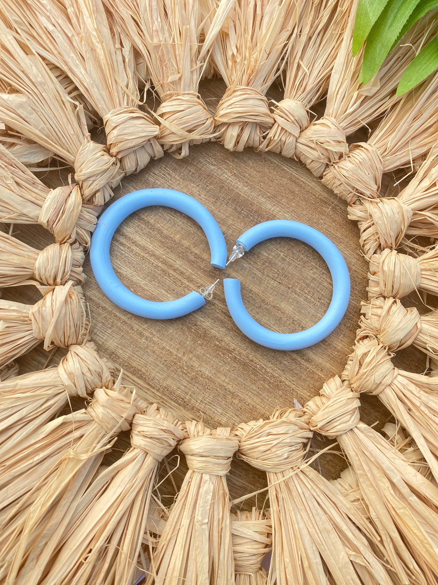 Standard hoop